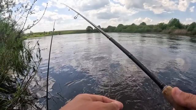 Ловля ГОЛАВЛЯ на МАЙСКОГО ЖУКА: Секреты Успешной Рыбалки Летом!