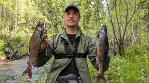 Таежная рыбалка / Такого клева мы не ожидали/ Встретили подписчика!