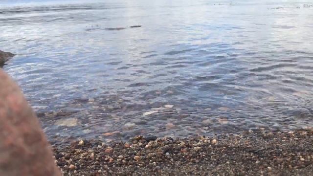 Поход на мыс «Чудесный» ЦСП «Тэнгу Про» смотреть онлайн