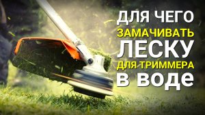 Обязательно замачиваю леску для тиммера и бензокосы в воде!