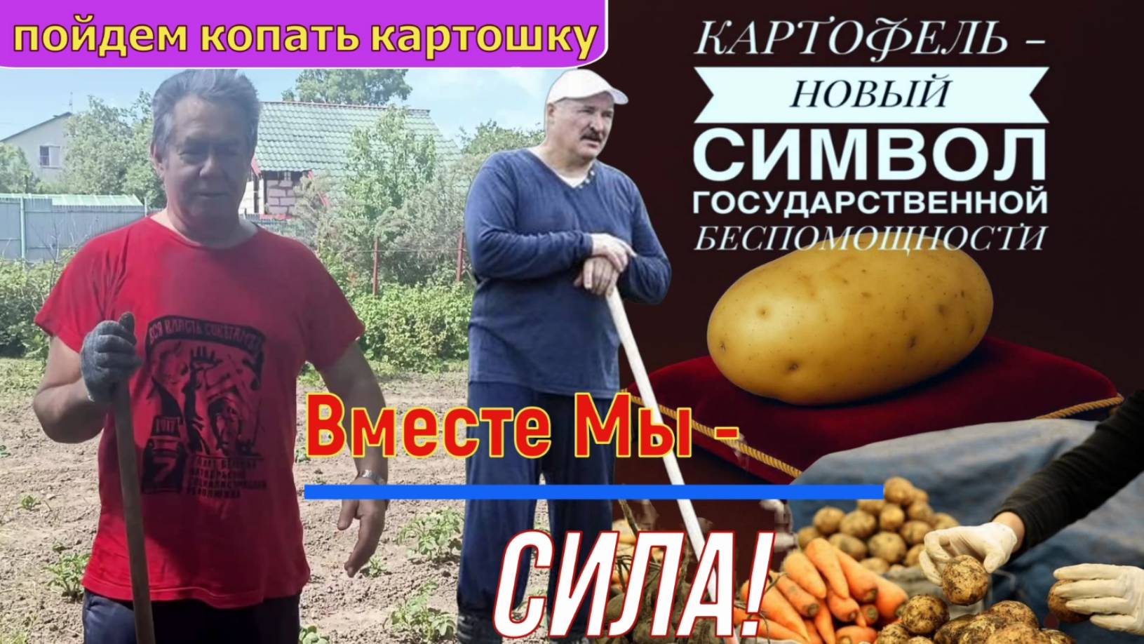 Рекомендуют картофельные "МАГНАТЫ" - ПЛАТОШКИН & ЛУКАШЕНКО _Доцент Морковкин рассуждает.... смотреть онлайн