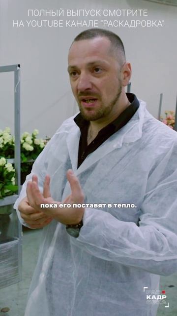 Запоминаем 📝 Полный выпуск смотрите на канале "Раскадровка" смотреть онлайн