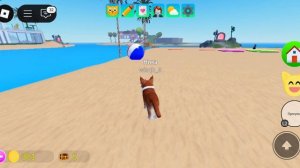Играю в роблокс игры ( где найти всё яица в игре» коты « )
