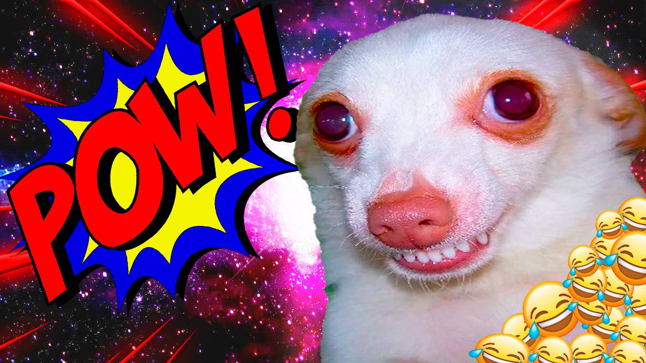 ЛУЧШИЕ ПРИКОЛЫ ИЮНЬ 2025 | ПОПРОБУЙ НЕ ЗАСМЕЯТЬСЯ | ТЕСТ НА ПСИХИКУ | РЖАКА ДО СЛЕЗ смотреть онлайн