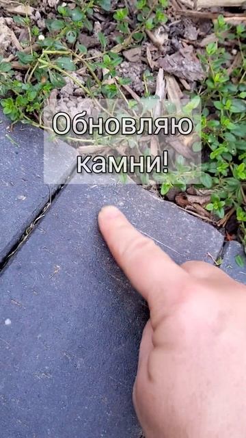 Он будет как новенький! Клинкерный кирпич после затир?