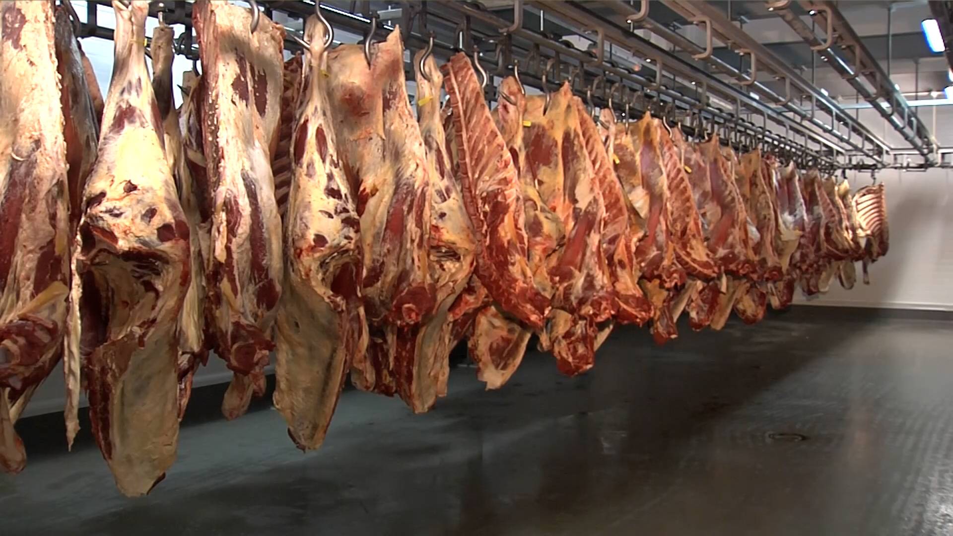 Мир сельского хозяйства. 03.06.2025