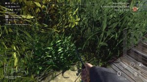 Fishing Planet рыбы монстры река Днепр,сбор прикормки