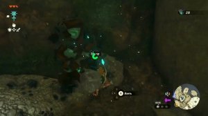 #5 Переработка Зонар #zeldatearsofthekingdom #игры #зельда #zelda #legend #nintendo #прохождение