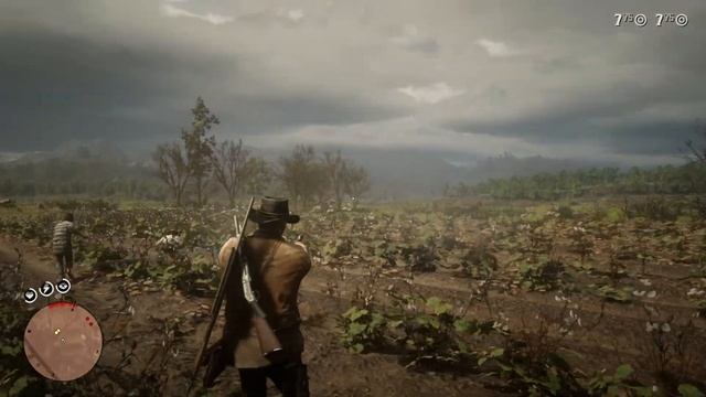 Проходим Red Dead Redemption 2