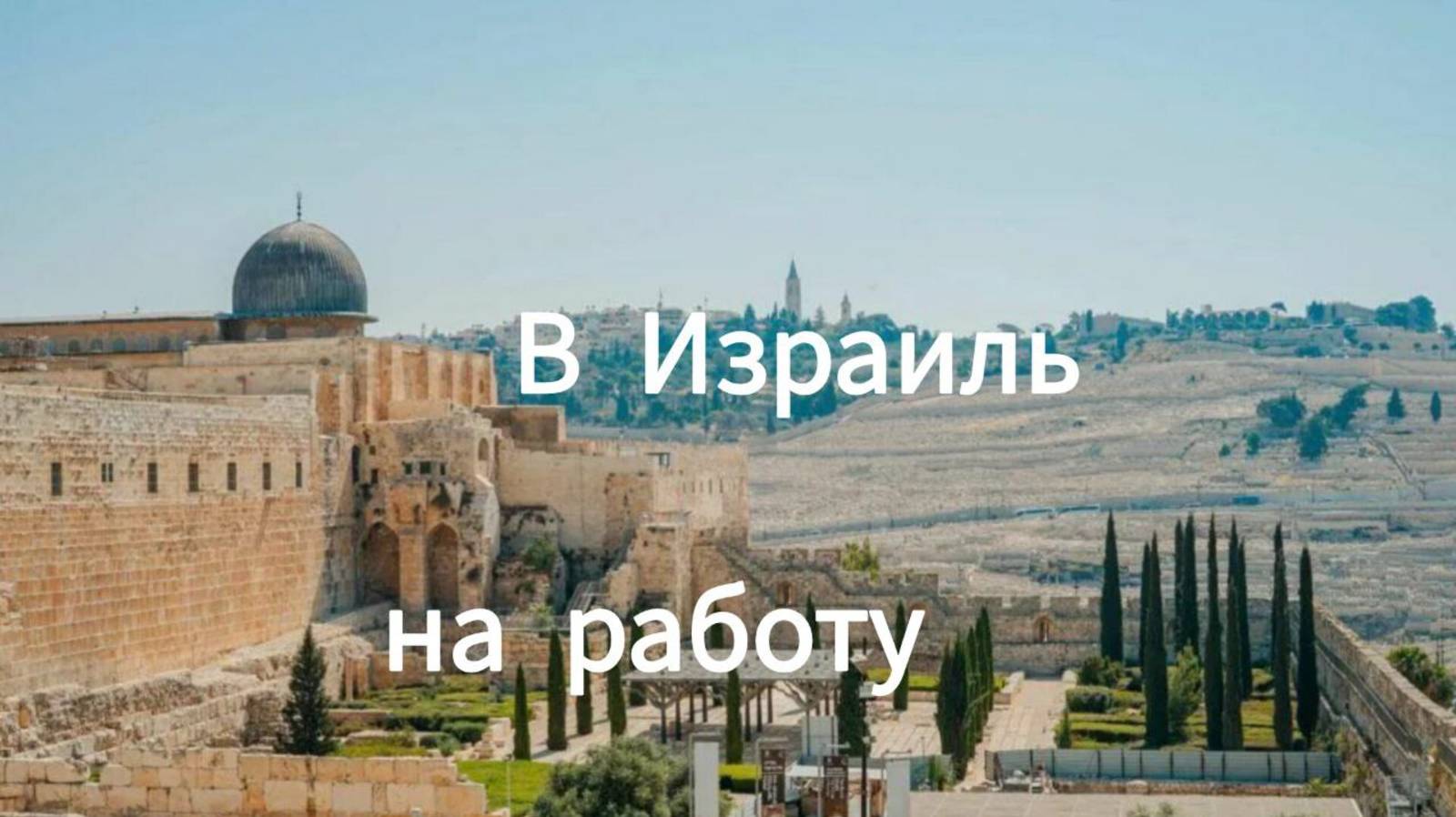 В Израиль! На работу!