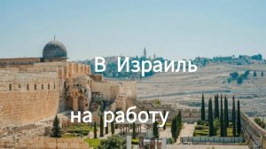 В Израиль! На работу!