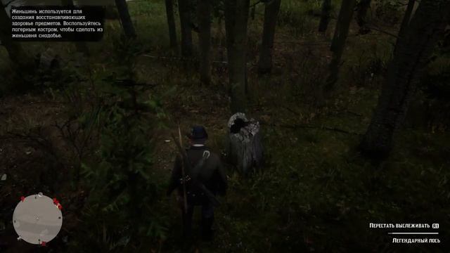 Red Dead Redemption 2. Часть 12