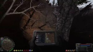 Наконец-то ВОСТОЧНАЯ ПРИПЯТЬ. STALKER СОЛЯНКА OGSR 2024 #39