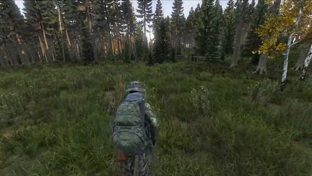 Обосновал ЛАГЕРЬ в Лесу! Наша история выживания в DAYZ! смотреть онлайн