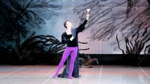 Жизель 24.04.19 (фрагменты)