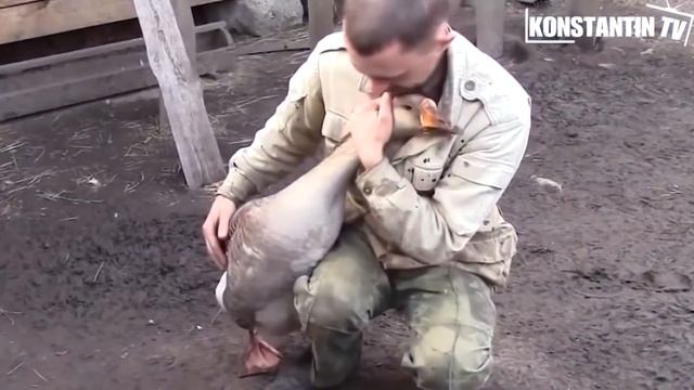 Pokemon go наша версия смотреть онлайн