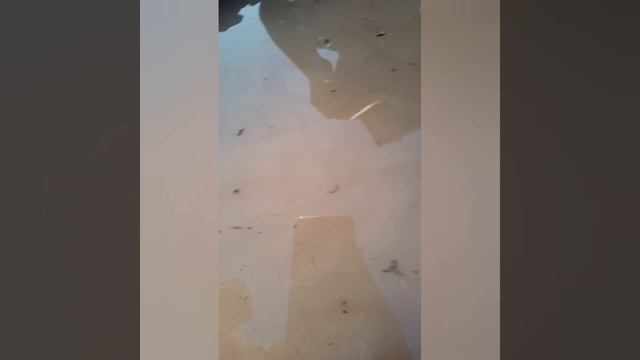 на лодках 9 сезон 2 серия смотреть онлайн