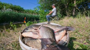 НАЖИВКА ПОД НОГАМИ! СОБИРАЙ ДА ЛОВИ! СУМАСШЕДШИЙ КЛЁВ КАРАСЯ! ПОЛНОЕ ВЕДРО. ПРОЩЕ НЕКУДА.