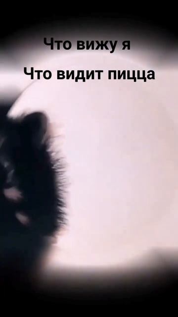 пицца 🥰 #пицца #абоба #youtubeshorts #хочуврекомендации #мем смотреть онлайн