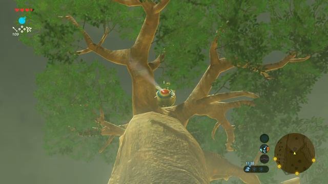 Таобабовый луг, еще один корок! Гайд по The Legend Of Zelda:Breath Of The Wild #127.