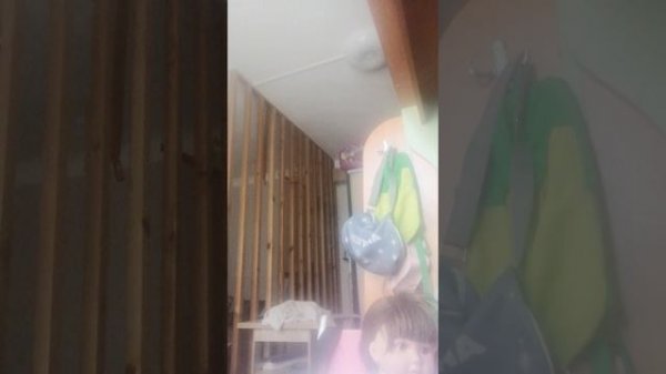 VID_20250603_103915.mp4