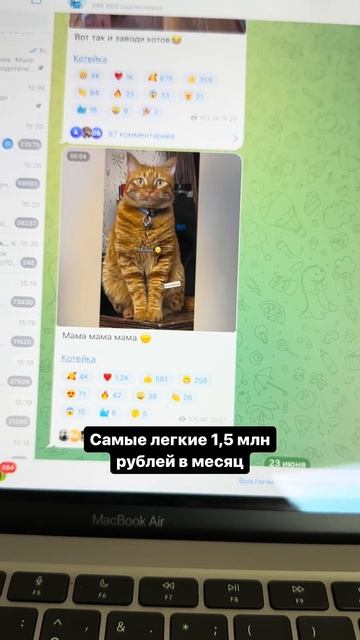 Заработок в Телеграм на простом канале с котиками #Shorts смотреть онлайн