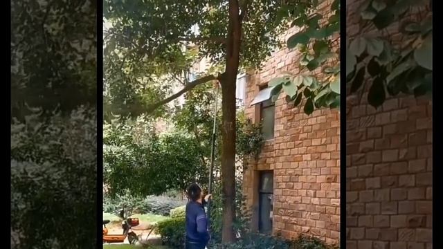 ⛓️ #СадоваяПила #БензиноваяПила #Сучкорез #Телескопи? смотреть онлайн