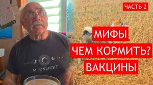 Нет там у лаек бойцовских кровей! Большое интервью с Александром Борисенком. ЧАСТЬ 2