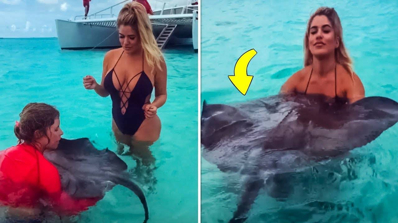 Я РЖАЛ ДО СЛЕЗ 😂 5 Минут ОТБОРНЫХ приколов 2025 Смешные видео - Лучшие ПРИКОЛЫ смотреть онлайн