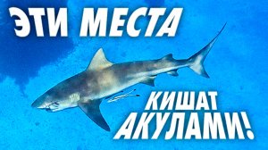 СЛОМАЛИ СПИННИНГ, НО ДОСТАЛИ ОГРОМНУЮ АКУЛУ. РЫБАЛКА В ИНДИЙСКОМ ОКЕАНЕ.СЕЙШЕЛЬСКИЕ ОСТРОВА.
