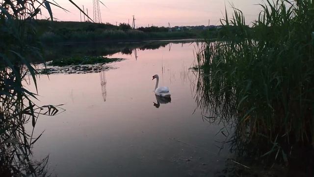 25.06.03 3 смотреть онлайн