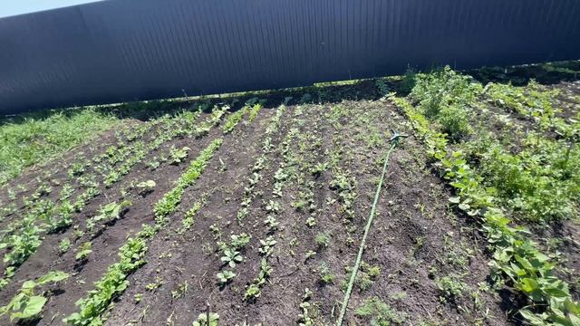 Как все успеть, непонятно смотреть онлайн