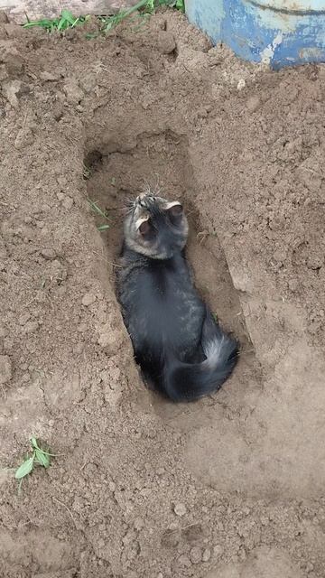 Люська помогатор! Сентябрь 2023год. смотреть онлайн