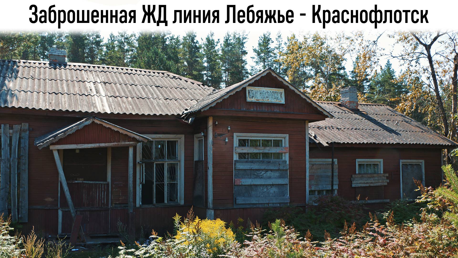 Прогулка по заброшенной ЖД линии Лебяжье - Краснофлотск смотреть онлайн