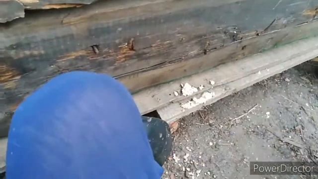 КОРЧ ИЗ ДОСОК:ПОДГОТОВКА К ПОКАРСКЕ ЗАДЕЛКА ГИПСОМ смотреть онлайн