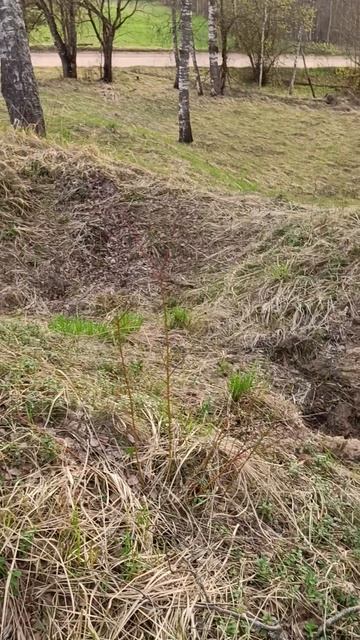 Тут был блиндаж времён ВОВ смотреть онлайн