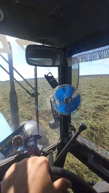 сенаж 2024 грабли krone смотреть онлайн