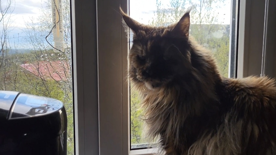 3 июня // После грозы смотреть онлайн