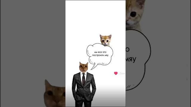 КИСИКИ смотреть онлайн