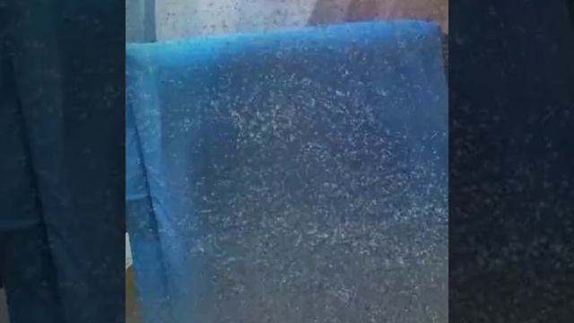 Стоша Фаркаш