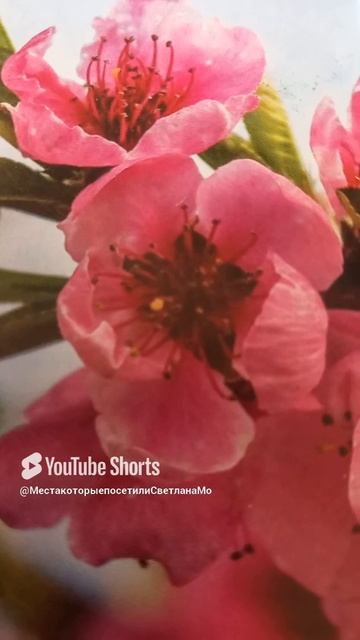 Причины измены мужчины