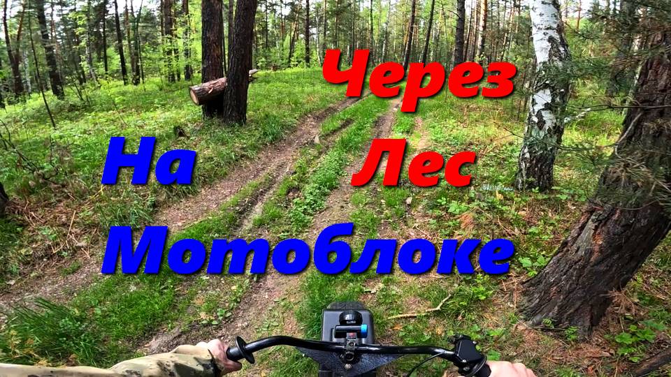 На мотоблоке через лес Трицикл из мотоблока (Часть 3)