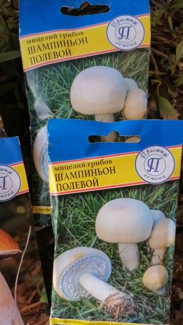 Планы на весну #огород #цветы #shorts смотреть онлайн