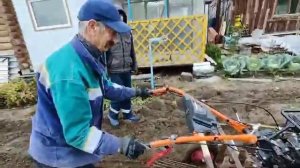 картофелекопалка  утиный хвост  самодельная .мотоблок