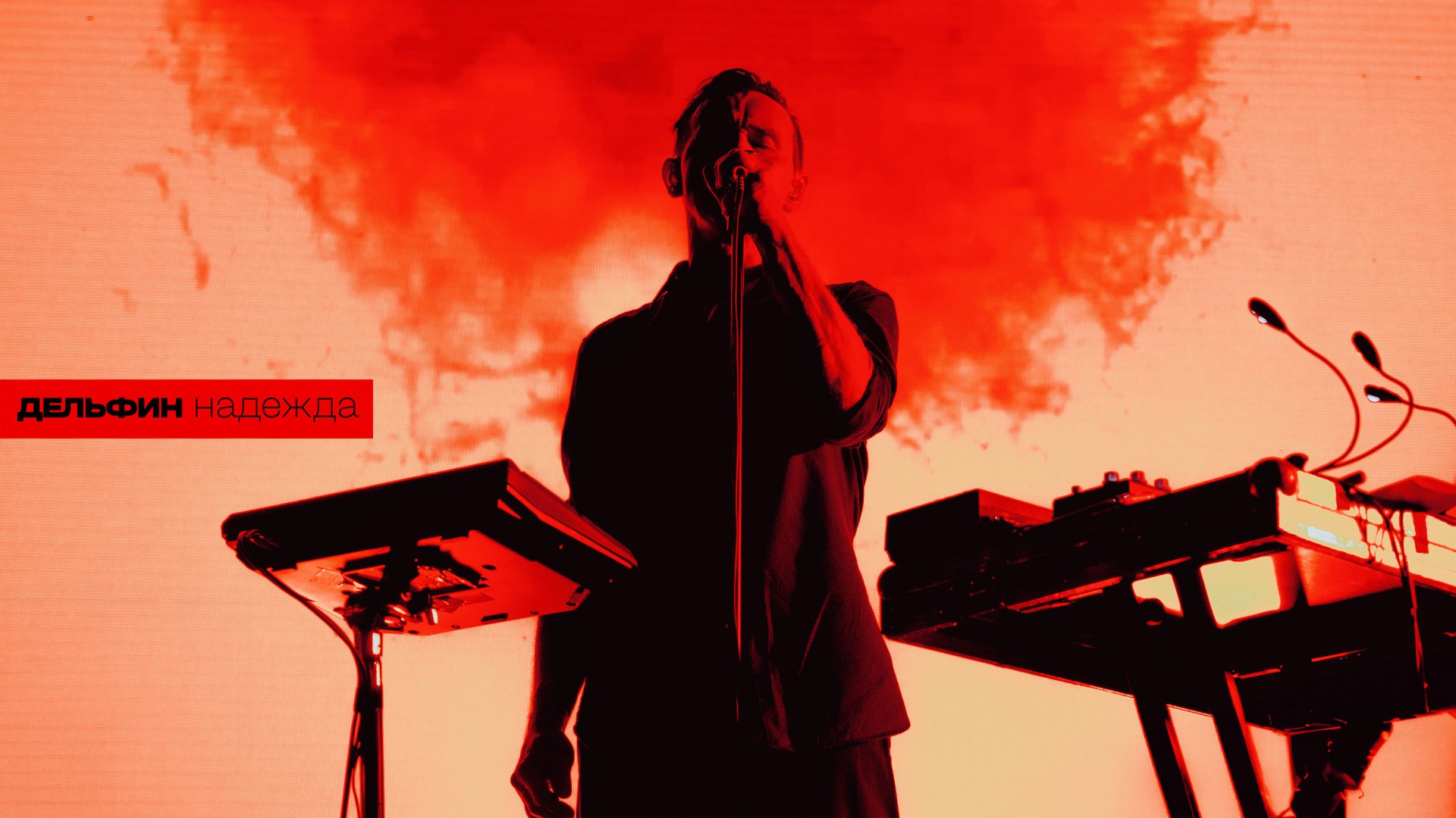 Дельфин - Надежда (Live 2025 - Violin version) смотреть онлайн