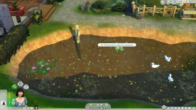 Как Создать Пруд В Симс 4? | Обзор Обновления | Как Ловит смотреть онлайн