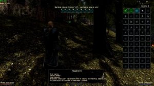 Новые РУНЫ для МАГОВ - ОБЗОР | Готика 2 Новый Баланс