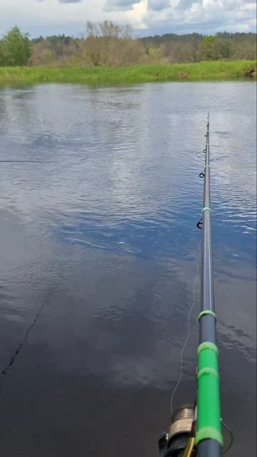 бесконечное с вечным