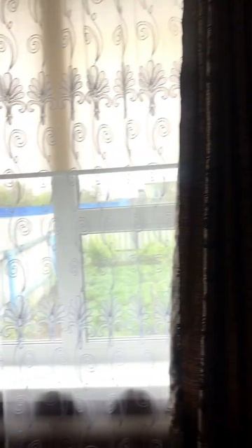 Хочу такие обои #shortsvideo