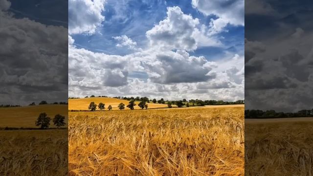 малиновый звон смотреть онлайн